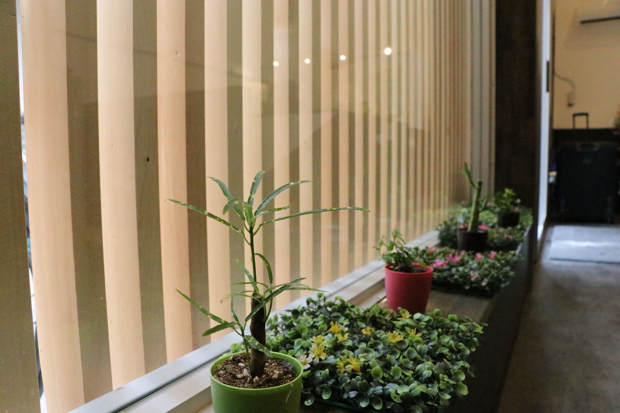 Lore Hostel Dotonbori Osaka Dış mekan fotoğraf